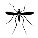 Mosquito Sound