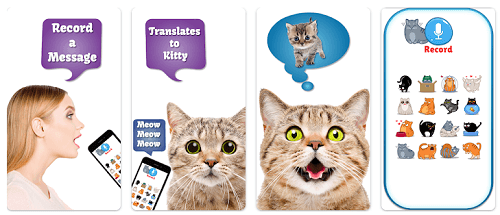 translate bahasa kucing ke manusia
